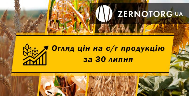 Ціни на зернові та олійні — огляд цін за 30 липня від Zernotorg.ua