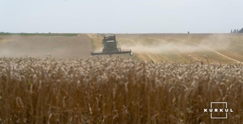 Через посуху врожайність ярої пшениці в США може знизитись на третину