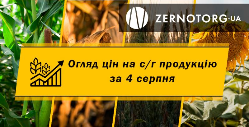 Ціни на зернові продовжують зростати — огляд за 4 серпня від Zernotorg.ua
