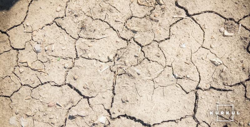 У липні майже на всій території України панувала посуха 