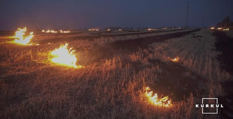 На Херсонщині пожежа завдала фермеру збитків на 800 тисяч грн
