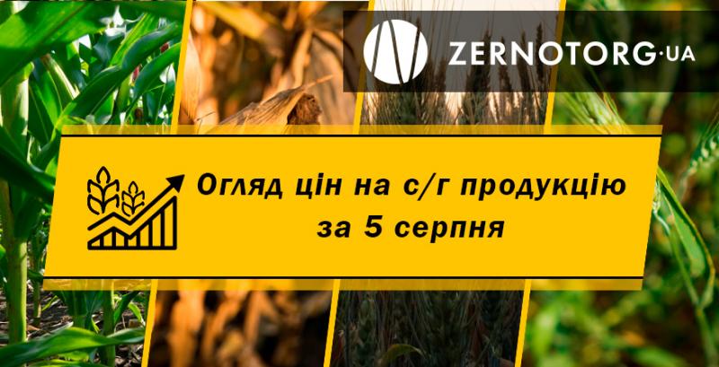 Ціни на зернові та олійні — огляд за 5 серпня від Zernotorg.ua