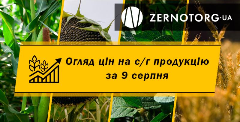 Ціни на зернові зростають — огляд за 9 серпня від Zernotorg.ua