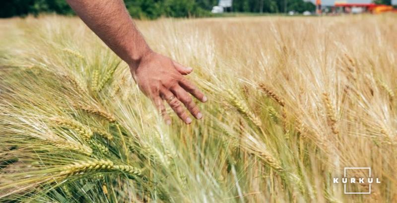 На Дніпропетровщині обмолочено понад 2,5 млн тонн ранніх зернових