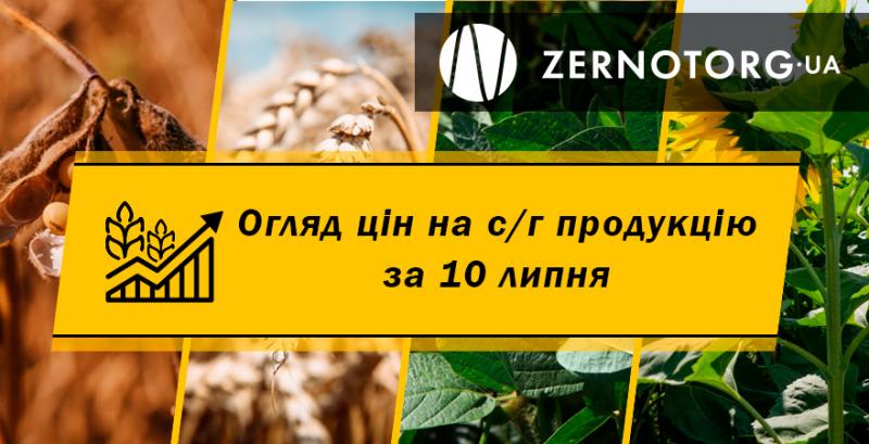 Ціни на зернові та олійні — огляд за 10 серпня від Zernotorg.ua
