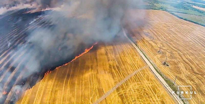 В Туреччині підрахували збитки завдані агросектору лісовими пожежами