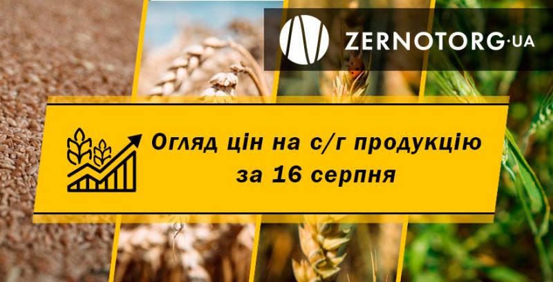 В Україні дорожчають зернові — огляд за 16 серпня від Zernotorg.ua