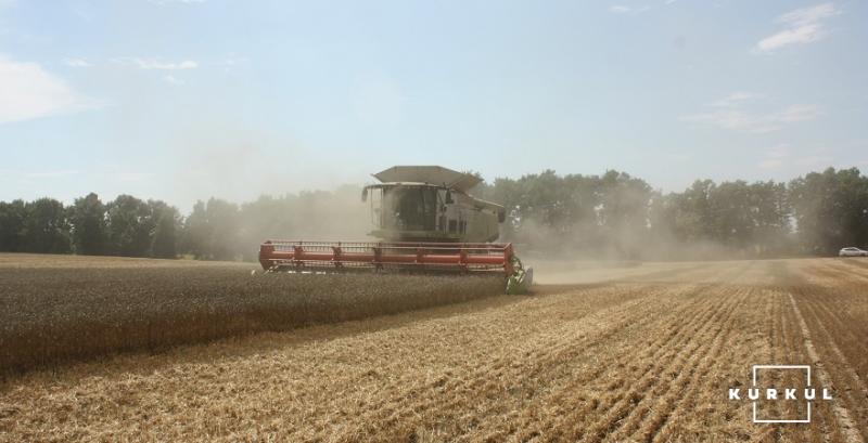 На Тернопільщині врожайність зернових зросла на 10%