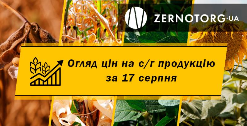 В Україні ціни на пшеницю стрімко зростають — огляд за 17 серпня від Zernotorg.ua