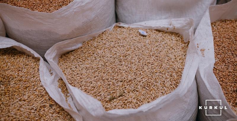 Експерти розповіли, якою буде ціна пшениці після різкого здорожчання