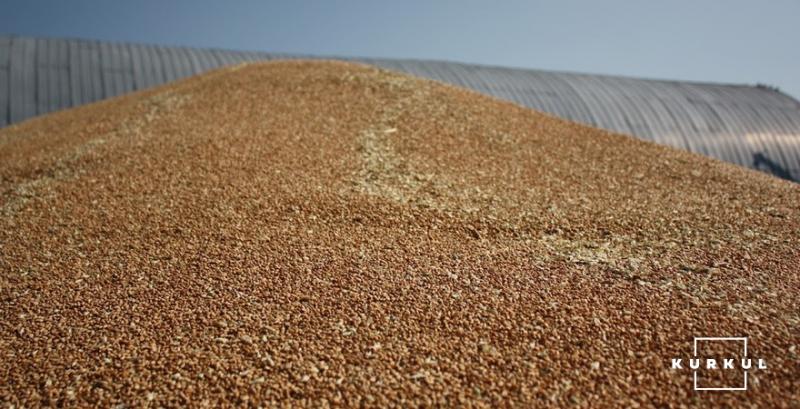 Україна може збільшити обсяги експорту зерна до Алжиру — УЗА