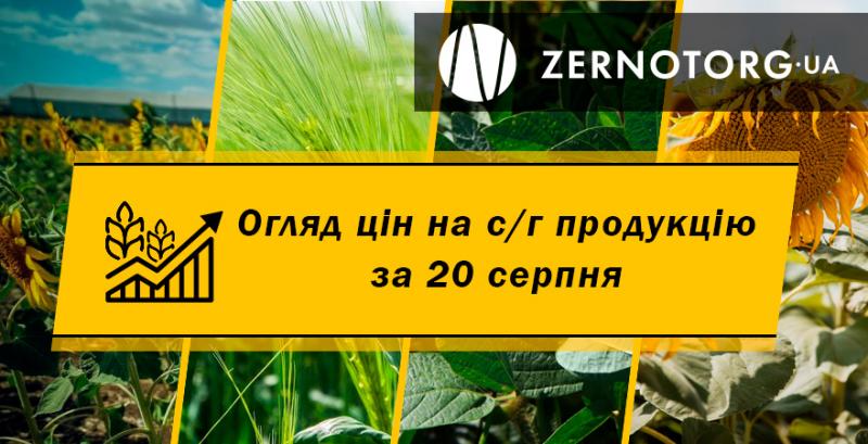Ціни на зернові та олійні — огляд за 20 серпня від Zernotorg.ua