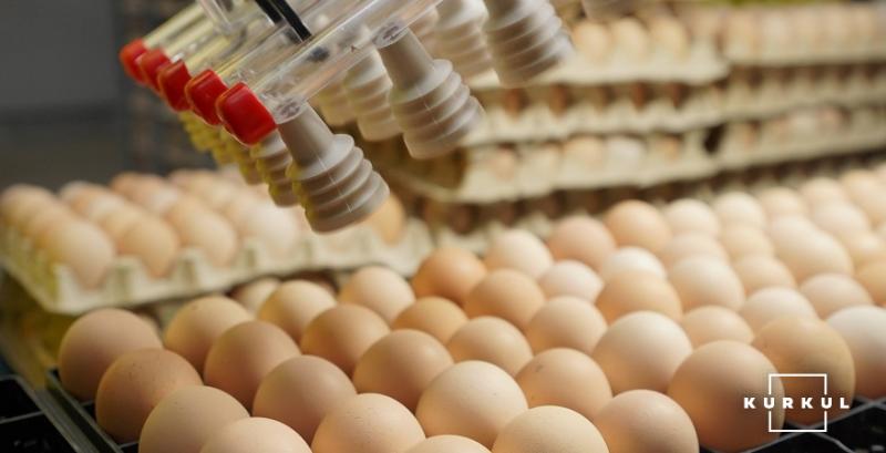 В Україні скорочується виробництво яєць