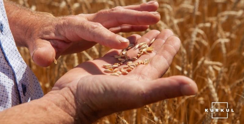 Уряд Білорусі ввів тимчасову заборону на експорт зернових