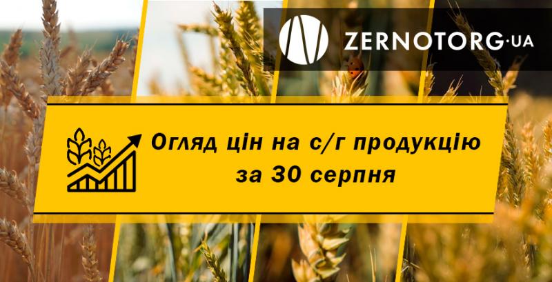 Ціни на с/г продукцію — огляд за 30 серпня від Zernotorg.ua