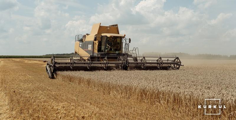 В США темпи збору ярої пшениці випереджають торішні на понад 20%