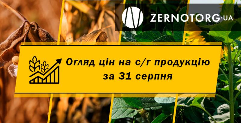 В Україні подорожчав ячмінь — огляд за 31 липня від Zernotorg.ua