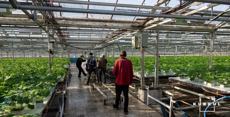 На Тернопільщині на агропідприємстві виявили 28 неоформлених збирачів овочів