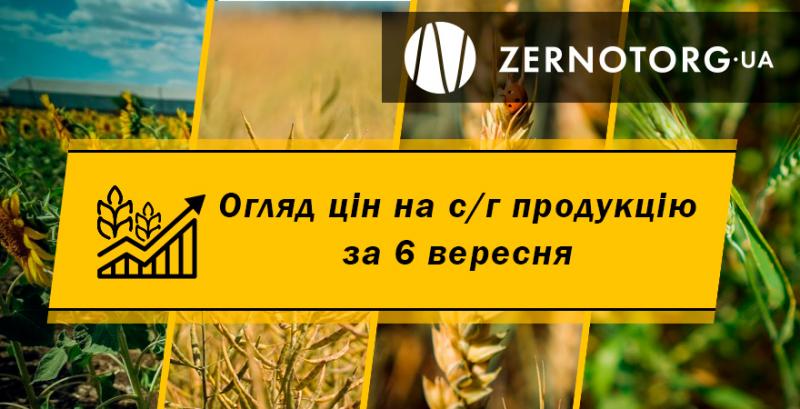 В Україні стрімко подорожчала соя — огляд за 6 вересня від Zernotorg.ua