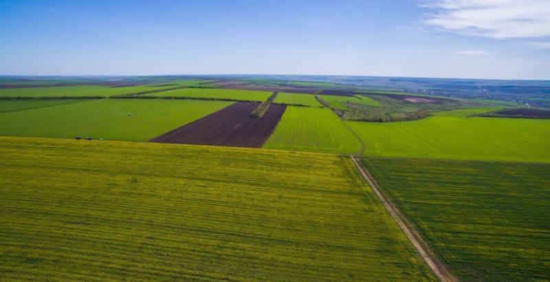 Фермери не можуть повною мірою скористатись переважним правом викупу землі — Івченко