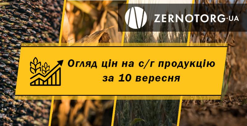 Ціни на с/г продукцію — огляд за 10 вересня від Zernotorg.ua