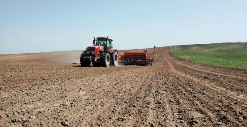 Темпи посіву озимої пшениці на Донеччині вдвічі випереджають торішні