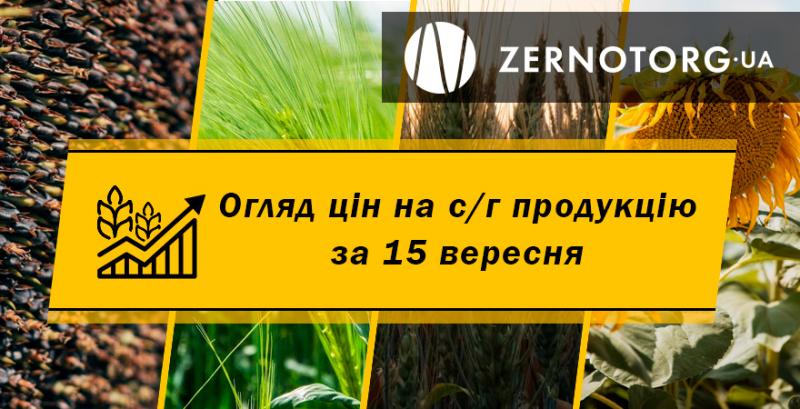 Ціни на зернові та олійні — огляд за 15 вересня від Zernotorg.ua
