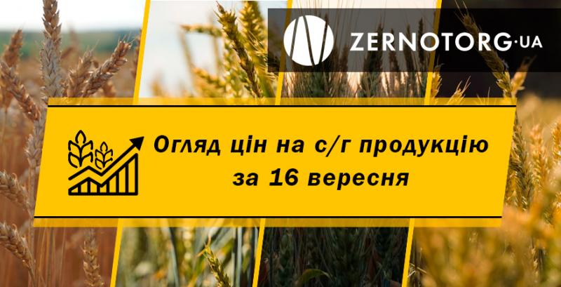 В Україні подорожчала соя — огляд за 16 вересня від Zernotorg.ua