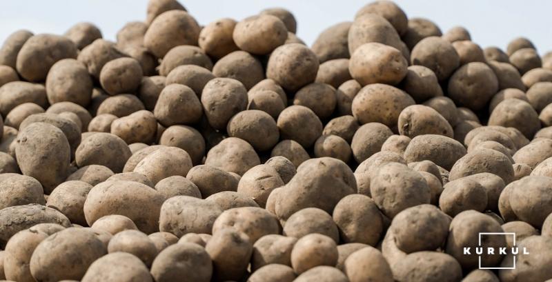 На Тернопільщині очікують рекордний врожай картоплі
