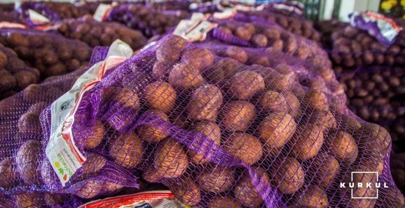 Українську картоплю із Білорусі реекспортують до Росії