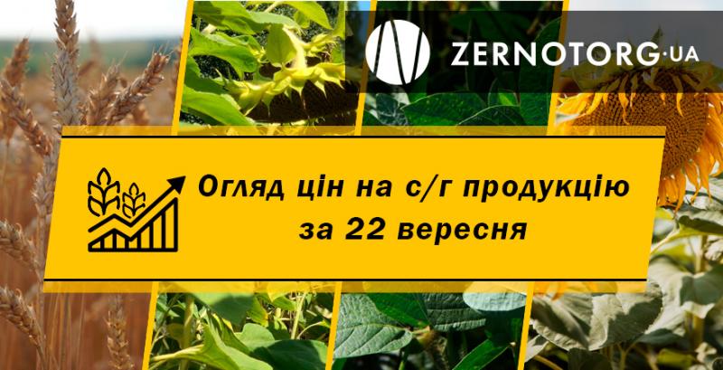 В Україні продовжують дорожчати зернові — огляд за 22 вересня від Zernotorg.ua