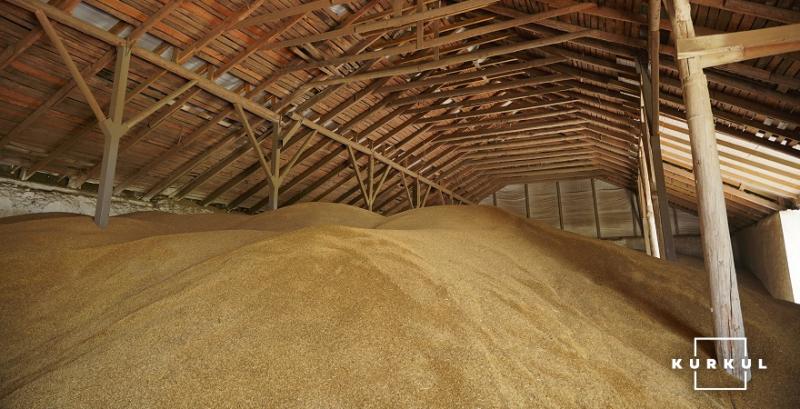 Україна експортувала понад 2 млн тонн пшениці у вересні