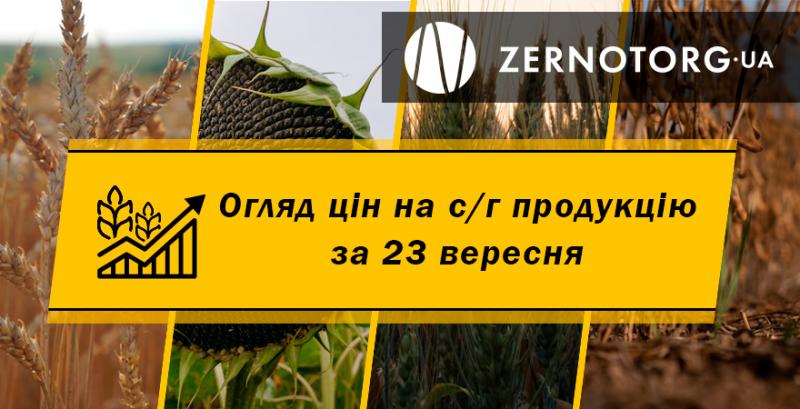 Ціни на с/г продукцію — огляд за 23 вересня від Zernotorg.ua