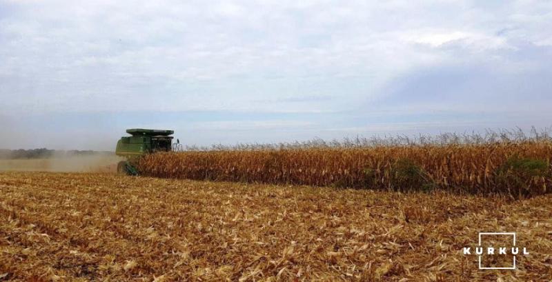 Аграрії РФ зібрали понад 2 млн тонн кукурудзи