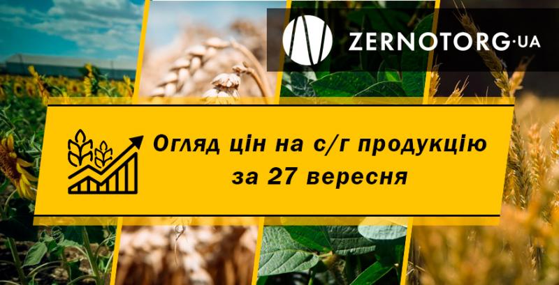 Ціни на зернові стабілізувались — огляд за 27 вересня від Zernotorg.ua