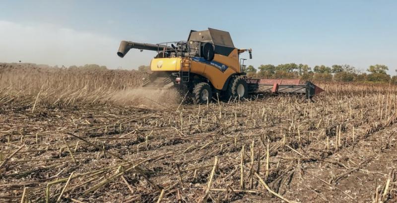 Аграрії Полтавщини обмолотили 35% соняшника за врожайності понад 2 т/га