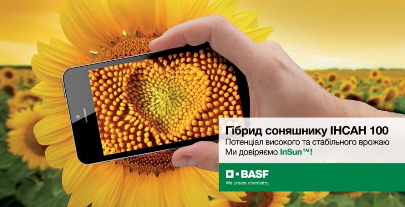 BASF презентує новий гібрид соняшника традиційної системи вирощування