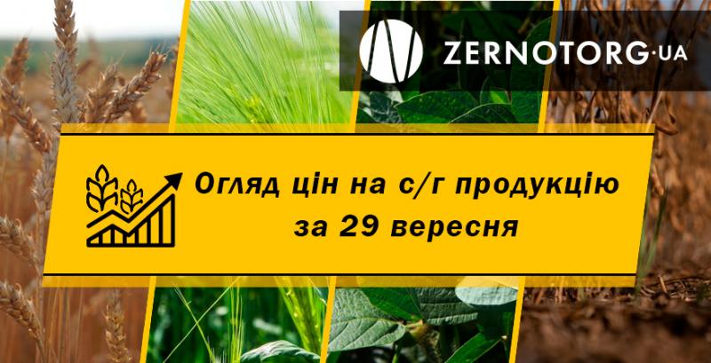 Ціни на с/г продукцію — огляд за 29 вересня від Zernotorg.ua