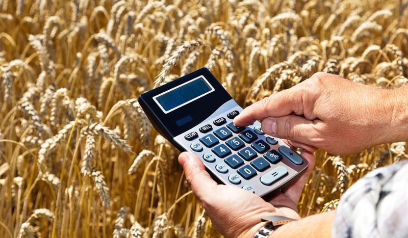 Середня зарплата у сільському господарстві перевищила 12 тисяч гривень