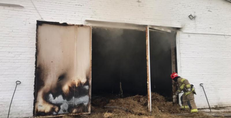На Львівщині у пожежі згоріло 30 тисяч курчат