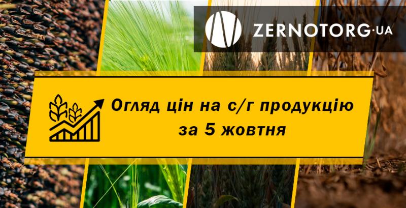 Ціни на зернові та олійні — огляд за 5 жовтня від Zernotorg.ua