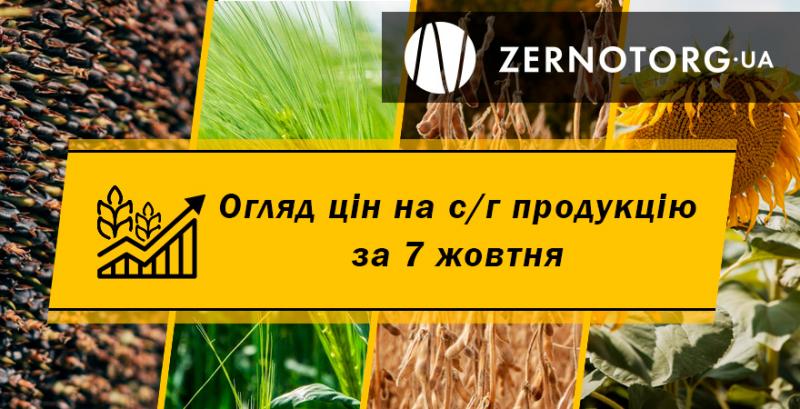 Зернові продовжують дорожчати — огляд за 7 жовтня від Zernotorg.ua