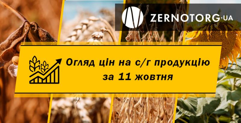 В Україні дорожчають зернові — огляд за 11 жовтня від Zernotorg.ua