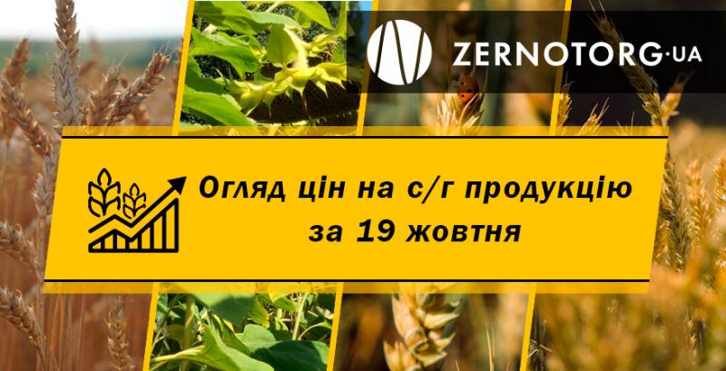 Ціни на олійні стабілізувались — огляд за 19 жовтня від Zernotorg.ua