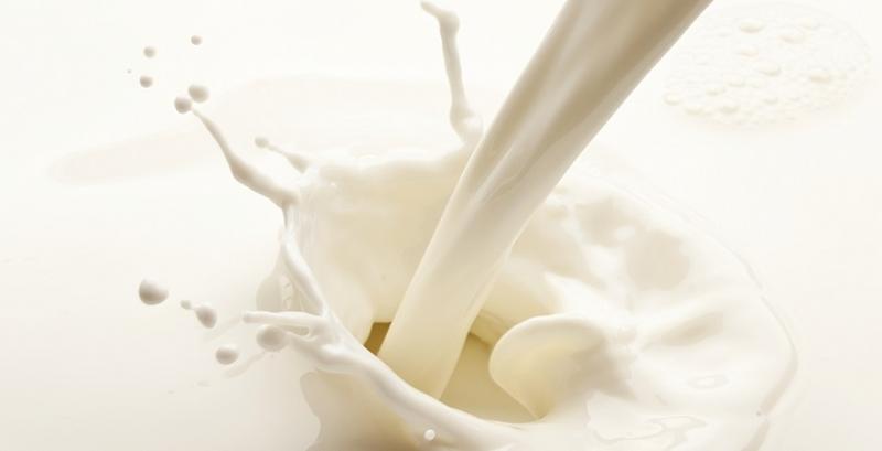 Молоко, виробництво молока