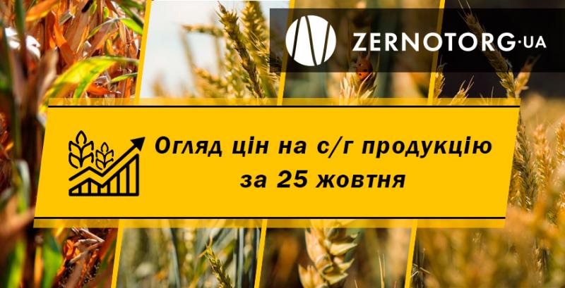 В Україні дешевшає кукурудза — огляд за 25 жовтня від Zernotorg.ua