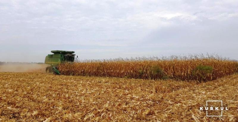 Врожайність кукурудзи на Вінниччині зросла на понад 40%