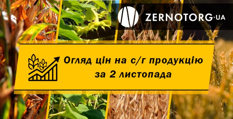В Україні здорожчала пшениця — огляд за 2 листопада від Zernotorg.ua