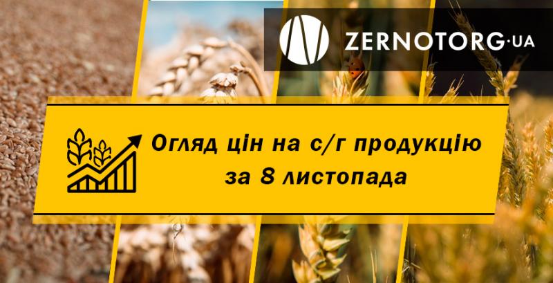 В Україні дорожчає пшениця — огляд за 8 листопада від Zernotorg.ua