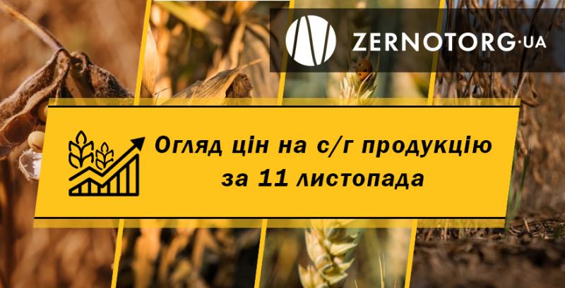 Ціни на зерно знижуються — огляд за 11 листопада від Zernotorg.ua